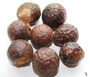 ANDARISTORE Reetha / Soapnut / Ritha / Aritha / Kunkudukai 100g Seed