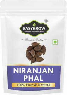 Easygrow Niranjan Phal China Fruit - 50gm , Umasmangu Malva Nuts, Niranjan Fruit Seed