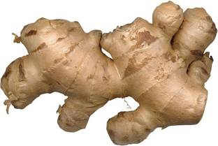 BJUBAS Organic Ginger seeds Pack of 13 Seed