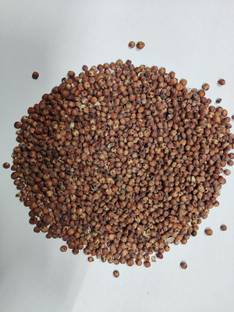 EasySeeds Chicken-corn,Shattercane,Sordan,Sorghum sudangrass,Sudan grass Seed