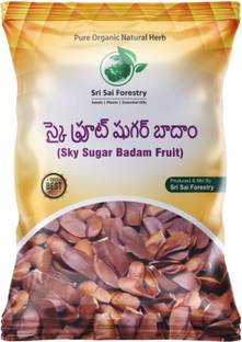 SRI SAI FORESTRY Sky Sugar Fruit (250g) Seed