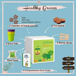 VibeX Kale, Pak Choi, Grand Rapids Lettuce- A Complete Beginner Gardening Set Seed