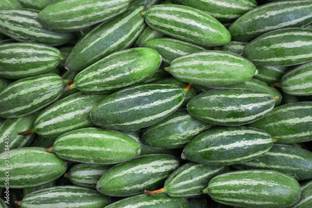 Arshiayat Desi Parwal Seeds,Hybrid Pointed Gourd-Potol Organic Vegetable seeds For Farming Seed