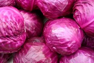 MAA Purple Cabbage, Cabbage, Red Kraut Seed