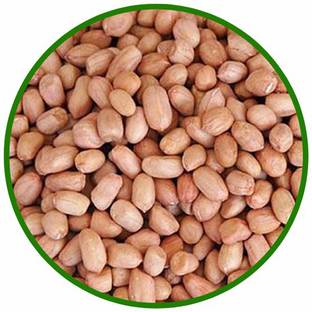 SREE Penut Vegetable Seed, Mungfali Seed. Badam Organic Seed