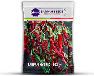 BALA PLANT CREATION Byadgi Chilli Seeds Seed