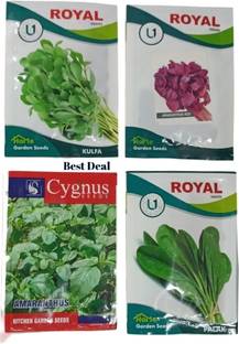 best deal Spinach, KULFA, Amaranthus, RED Amaranthus, Vegetable seeds Seed