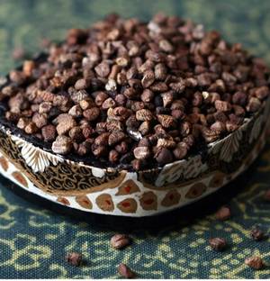 CYBEXIS XLL-69 - Malabar Cardamom Plant - (60 Seeds) Seed