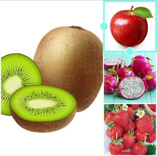 Oliver apple,litchi,kiwi,dragon fruit seeds Seed
