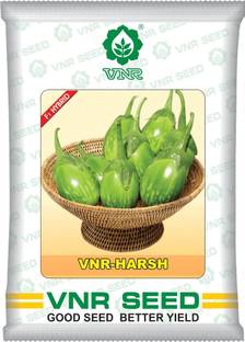 Cloud Farm vnr HARSH hybrid brinjal Seed