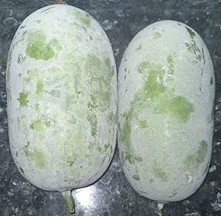 Aywal Ash Gourd (Mithai Petha) Vegetable Seed
