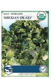 Biosnyg Kale Vegetable Seeds[500 Seeds] Seed