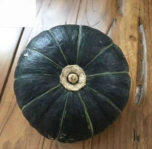 Quentova Vegetable Green Mini Pumpkin-VXL-10Y Seed