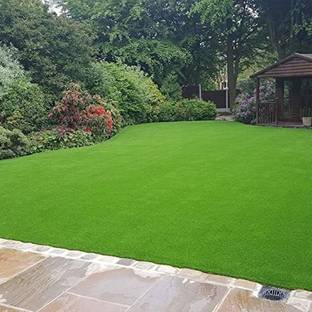 wequality Mexican grass seeds, Mexican lawn grass seeds for garden Seed