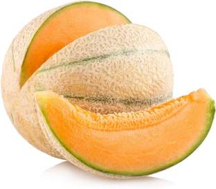 WILLVINE PAU-250 "Delicious 51" Cantaloupe Musk Melon Seeds Seed