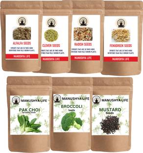 manushya life Combo Pack of 7 Variety of Sprouting Seeds Seed