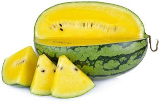 WILLVINE Farm Yellow Watermelon Flash F1 Hybrid Seeds-[125 Seeds] Seed