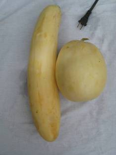 UGRA Snap Melon Momordica / Phoota Seed