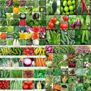 ibains Rainy season vegetable seeds 214 Seed