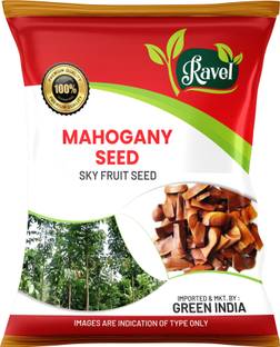 Ravel Sky Fruit Sugar Badam 250 Gram Adavi Badam Diabetes Badam Akash Pandu Mahogany Seed