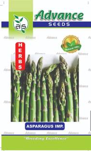 JD AGRO HB-502-ASPARAGUS Seed