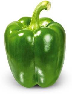 SBGARDEN Green Capsicum Seed