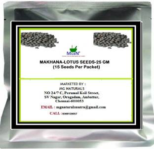 MGBN MAKHANA-LOTUS SEEDS-25 GM Seed