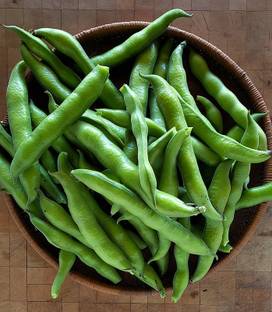 WANCY Broad Beans/Chikkudu Seed