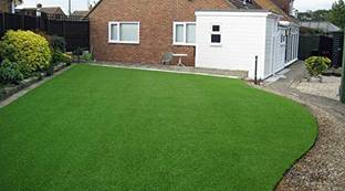 wequality Grass seeds for home garden, Home garden lawn grass seeds, mat grass Seed