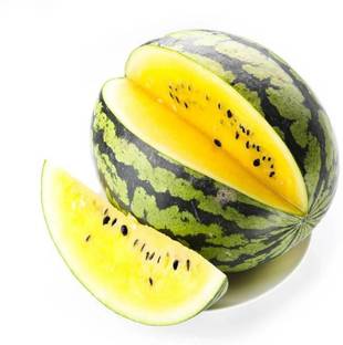 EMKOT Yellow watermelon citrullus lanatus Seed