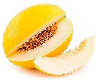 VibeX PUAS-43 - Yellow MelonCantaloupe Muskmelon Kharbuja - (1350 Seeds) Seed