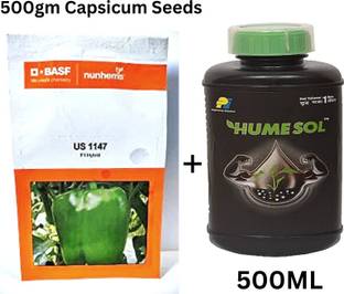 BASF Capsicum Seed
