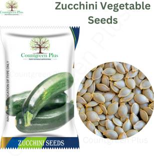 Countgreen Plus Zucchini - Summer Squash Vegetable Seeds Seed