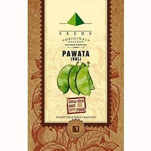 CYBEXIS Pawata or Val Seeds-100 Seeds Seed