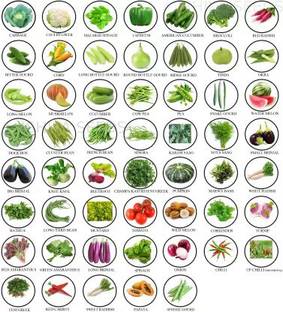 FLARE SEEDS 52 Variety of Vegetable Seeds Gardening Combo Seed