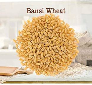Josan Brothers Chemical Free Rare Desi Bansi Wheat Seeds Variety For Growing Wheat Seed