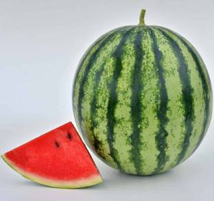 KANAYA Water Melon, Tarbuj Seed