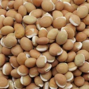 ANDARISTORE Mochai Kottai Fava Bean (250g) Seed