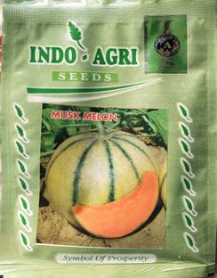 Musk melon Seeds very tasty highest yield Verity Seed