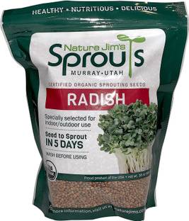 VibeX HUA-14 - Radish Sprout - (250 Seeds) Seed
