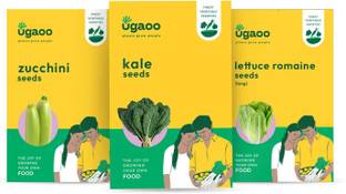 UGAOO Exotic Vegetable Seeds Combo Of Kale, Lettuce Romaine (Long), Zucchini (Squash) Seed