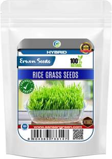 Erwon Hybrid Rice Grass Seed