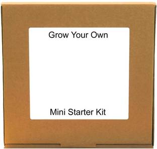 VibeX Basil - Sow & Grow DIY Gardening Kit Seed