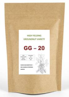 Green World GG-20 Groundnut Seeds/Mungfali Beej Farming Researched Seeds 1 Kg Seed