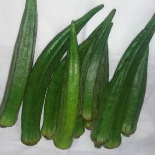 seedagro Upl Okra Lady-Finger (Bhindi) Hybrid Vegetable Seed