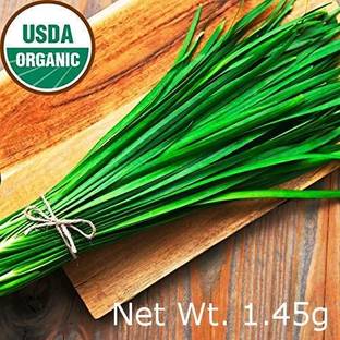 ActrovaX IAIRHeirloom Garlic Chives Organic Chinese Leek [1000 Seeds] Seed