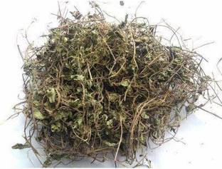 Dirghaanshi Dry Brahmi Leaves,Neerbrahmi,Water hyssop,Bacopa Monnieri,Birami,Jal Brahmi Seed