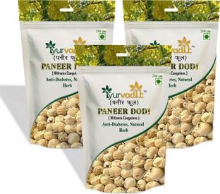 iyurvadik PANEER DODI PHOOL -600 Gm Paneer doda For Diabetic Care Wild Herb Seed