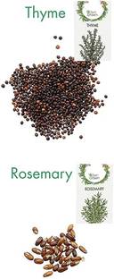 CYBEXIS 2 - Varities Seeds Combo-Thyme, Rosemary Seed
