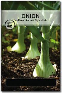 VibeX LX-47 - Yellow Spanish Onion - (1500 Seeds) Seed